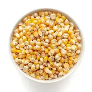 Ração animal de milho amarelo de alta qualidade em quantidade a granel para exportação