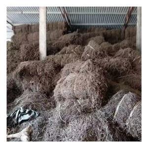 เยลลี่สีดำจากเวียดนามพร้อมราคาที่แข่งขันได้/เยลลี่หญ้าแห้งสำหรับชาบับเบิ้ล - Product Image 4