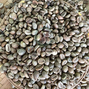 Granos de café verde Premium Arábica Robusta de Vietnam 100 por ciento tipo orgánico puro para tostar y bebidas - Product Image 1