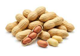 ขนมธรรมชาติคุณภาพสูงปราศจากกลูเตนปราศจากโปรตีนโปรตีนสูงทำจากถั่วลิสงกรุบกรอบ - Product Image 6