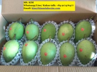 Export verse mango's 8kg/doos, ISO gecertificeerd, kwaliteit A, Vietnam oorsprong, met voordelige prijs. HP 0084 917 476 477