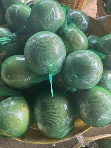 Pomelo Rosa Fresco de Vietnam, Grado A, 15 cm, Listo para Exportar al por Mayor en Caja de Cartón, 1.2-1.8 kg a EE. UU. y UE, Sra. Eira 0084786436556 - Product Image 4