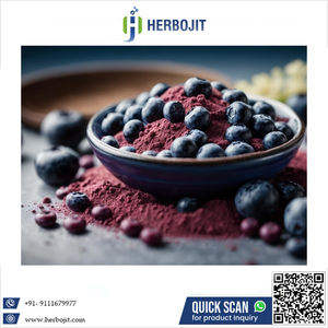 Jugo de Arándanos en Polvo 100% Puro y Natural, Súper Calidad, Grado Alimenticio, Secado por Aspersión, con Doble Sabor a Agua - Product Image 6