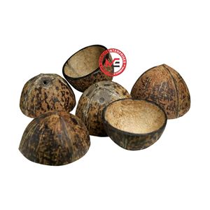 Macetas Decorativas |   Piezas de Exhibición |   Artesanía |   Tazón de Comedor Hecho a Mano Natural |   Vajilla Sostenible al por Mayor - Product Image 4