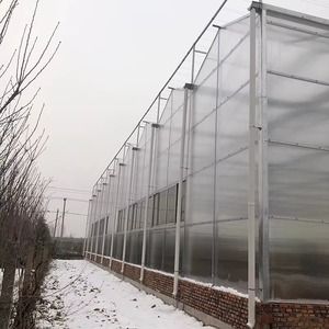 Invernadero Premium Venlo para Cultivo Orgánico de Plántulas y Vegetales con Materiales de Construcción Ecológicos - Product Image 2