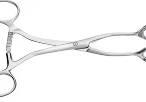 2023 mejor calidad COLLIN 160mm pinzas para agarrar la lengua con mordazas de goma Instrumentos dentales de acero inoxidable - Product Image 4