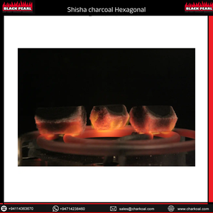 EL MEJOR PRECIO RAZONABLE COCO SHISHA CHARCOAL 100% NATURAL COCO HOOKAH CHARCOAL PARA SHISHA - Product Image 6