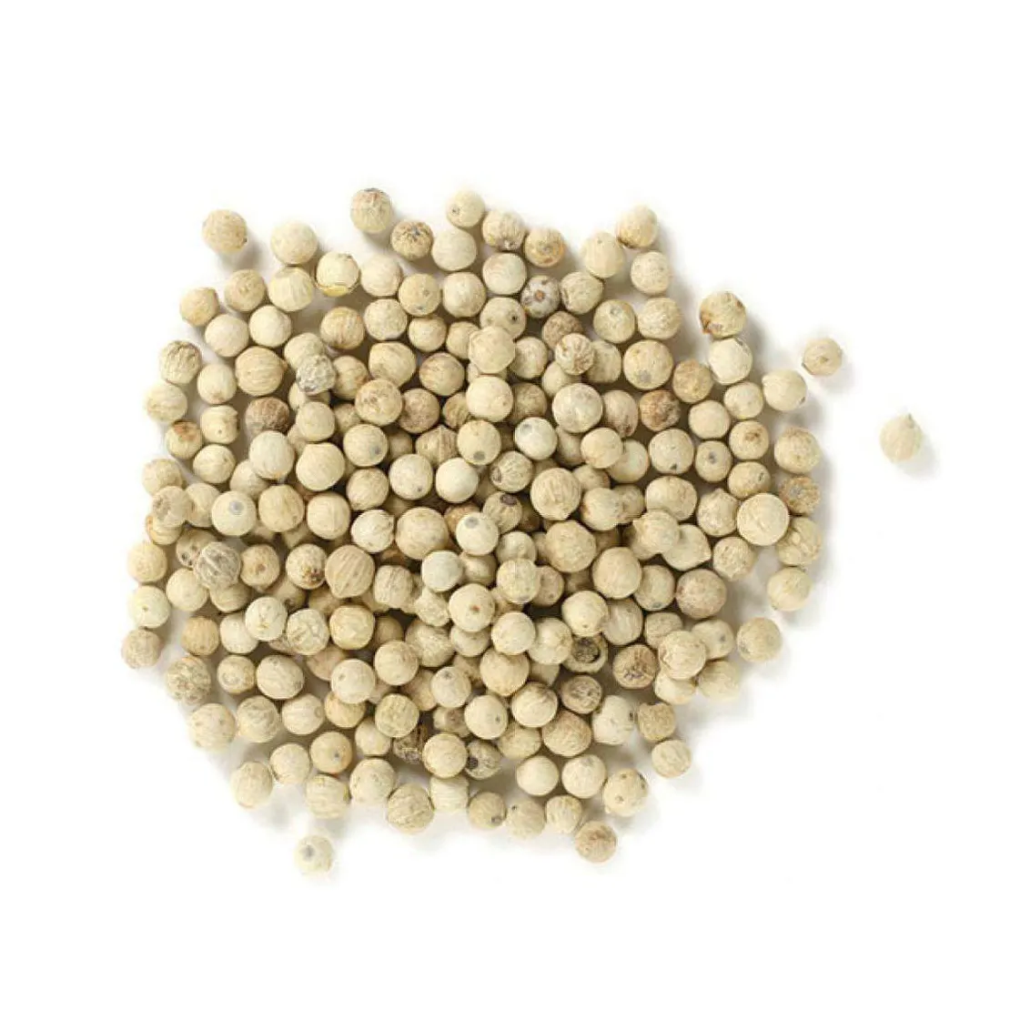 Premium Quality Whole White Dried Peppercorns for Wholesale Buyers