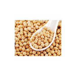 NON-GMO Soja à vendre Soja jaune-Soja aux meilleurs taux du marché - Product Image 3