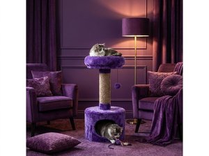 Maison pour chat Fiona Velvet Lounge avec un confort royal - Product Image 3