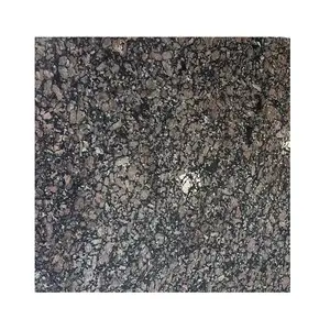 Best Quality Bengal Tiger Granite Slab Natural Stone for Wall Interior from Indian Exporter and Supplier