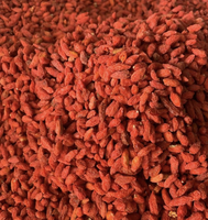 Vietnam produceerde gedroogde goji-bessen gemaakt van geselecteerd fruitmateriaal, ideaal voor het maken van desserts en drankeninfusies.