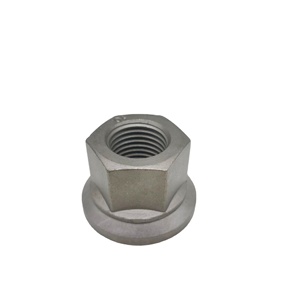 ट्रक पहिया बोल्ट एम22x1.5xsv33xh31 प्रतिस्थापन के लिए रिवॉल्विंग नट - Product Image 1