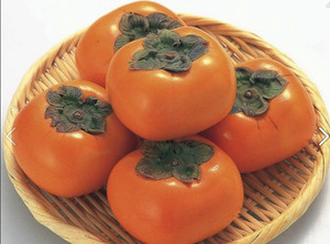 Meilleure vente de kaki séché de haute qualité au Vietnam/Laura - Product Image 4