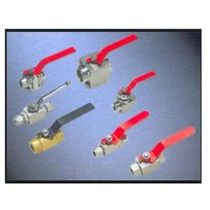 Válvula de bola SS manual de alta calidad, soporte OEM personalizable, producto al mejor precio de la India - Product Image 4