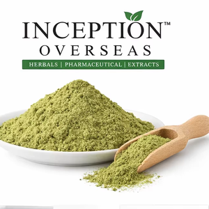 ผงสกัดมะรุม (Moringa Oleifera) วัตถุดิบสมุนไพรเพื่อสุขภาพ ผู้ผลิตและจำหน่ายแบบ OEM และขายส่งจากอินเดีย - Product Image 1