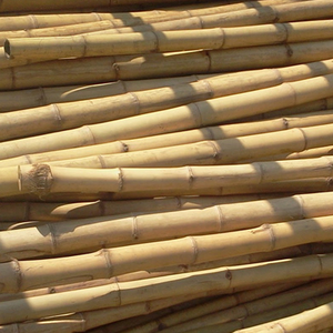 MEILLEUR VENDEUR 2024 // Poteaux de bambou naturels épais et longs décoratifs pour l'agriculture de construction - Product Image 4