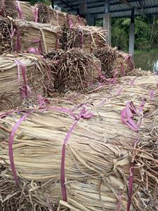 Jacinto de agua cruda de Vietnam a granel-Jacinto de agua cruda Premium para exportación, ecológico, de alta calidad para creaciones artesanales - Product Image 2