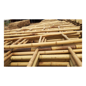 Varas de Bambú Yuna 99GD, Tamaño Personalizado (Diámetro de 6-60 mm, Longitud de 30-600 cm), Material Natural Duradero para Agricultura y Construcción - Product Image 1