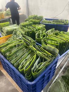 Hojas de Plátano Secas Multiusos para Eventos Religiosos, Festivales y Uso Culinario - Product Image 3