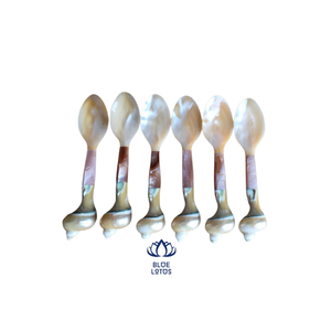 Cuillère en coquille de conque écologique vintage Blue Lotus Clara pour caviar, café, fêtes - Meilleur prix pour l'exportation - Product Image 3
