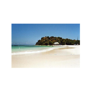 Inmejorables precios a granel, troncos largos de haya para carpintería, construcción, precios competitivos en todas sus necesidades - Product Image 4