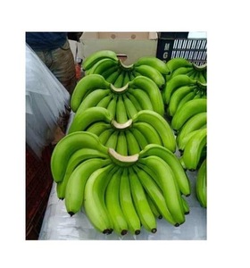 Type de culture biologique Nom Sweet Goût Cavendish Banana - Product Image 4