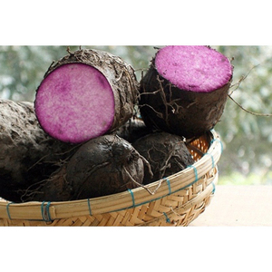 YAM VIOLET PREMIUM CONGELÉ 100 POUR CENT NATUREL SANS ADDITIFS - Product Image 6