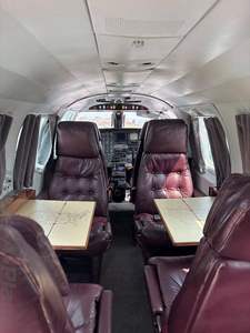 1981 d'occasion PIP ER CHE YENNE I Origine américaine - Product Image 2