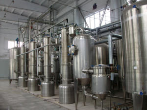 ISO22000 Factory Nature Pure Ajuga Turkestanica Extracto 2%-10% Turkesterone para suplementos - Product Image 5