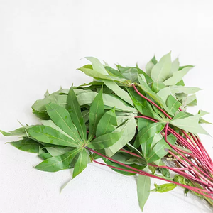 FEUILLE DE MANIÈRE BIOLOGIQUE/RÉCOLTE NATURELLE/DÉLICIEUSEMENT SANTÉ - Product Image 1