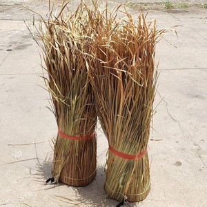 Rollo de césped natural enrollado al por mayor para techo y pared de palma seca de paja de Vietnam - Product Image 1