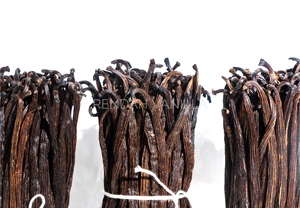 Vainas de Vainilla Planifolia - Grado 3 - 18-19.9 cm, la Mejor Calidad Bourbon a Granel para Extracción, Gran Venta, Mejor Precio de Indonesia - Product Image 5
