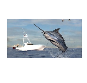 ปลาดาบแช่แข็งคุณภาพสูงไร้หัวและทําความสะอาดในราคาถูกผู้ผลิตจากเยอรมนีส่งออกทั่วโลก - Product Image 6