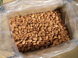 Aperitivo pelado seco fresco EE. UU. Badam californiano almendras crudas nueces para confitería/almendras de California/delicioso y saludable crudo - Product Image 6