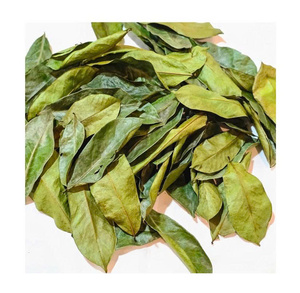 Premium Dried Soursop Leaves Wholesale Natural Graviola Leaf <b>Tea</b> For Detox Health Supplement Export - Product Image 1