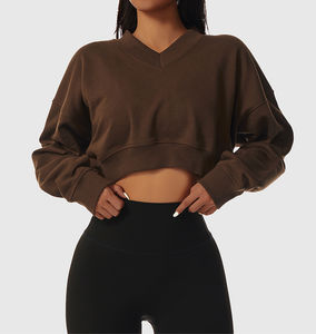 Casual Automne Hiver Couleur Personnalisée Manches Longues Femmes Dames Pull Court À Capuche pour Femmes Crop Hoodies Sweatshirts Tops - Product Image 1