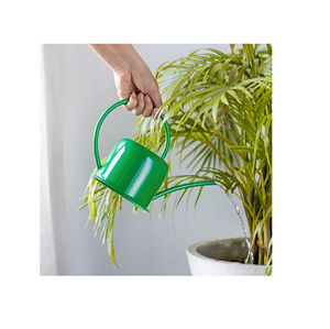 Freshly Design Customized High Quality European Vintage Garden Watering Can Glass Colored <b>Grain</b> Watering Can - Product Image 6
