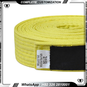 Ceintures de Jiu Jitsu à rayures de couleur personnalisées Lignes de couture Logos personnalisés Ceintures Bjj fabriquées au Pakistan - Product Image 3