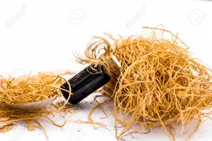 Aceite de raíz de Chrysopogon Zizanioides orgánico más vendido, suplemento de hierbas cultivadas en estado salvaje, suministro directo a granel, fabricante indio - Product Image 2