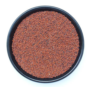 Sorgho rouge 100% naturel de qualité supérieure, riche en protéines, récolté à la main, grains entiers séchés, prix de gros, approvisionnement en vrac - Product Image 5