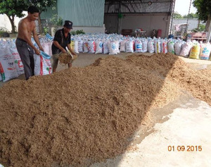 100% กากเบียร์บริสุทธิ์สำหรับตกค้างในการผลิตเบียร์ดิบสำหรับอาหารสัตว์ - Product Image 2