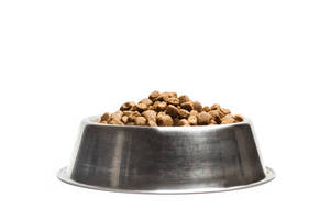 Comedero para Perros de Acero Inoxidable Pets Empire, Tazón para Comida de Perro, Tazón para Alimentar Perros - Product Image 4