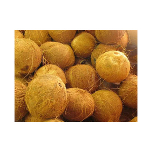Fibres de palmier à noix de coco prêtes pour l'expédition mondiale avec des prix compétitifs et une qualité constante - Product Image 4