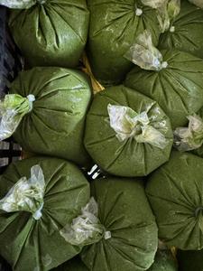 Hojas de Yuca Verdes / Fuente Vegetal Pura / Etiqueta Limpia / Congeladas y Conservadas / Proceso BQF / Calidad Superior / Envasado al Vacío / 10 kg - Product Image 5