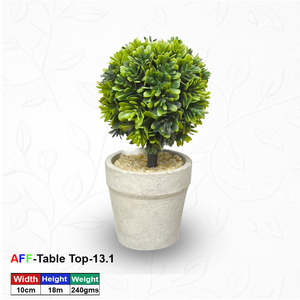 Artificial <b>Succulent</b> Boxwood Topiary Tabletop <b>Pot</b> - Product Image 1