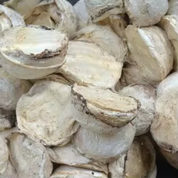 Caoutchouc de latex de qualité supérieure, matière première en caoutchouc naturel en vrac à vendre - Product Image 4