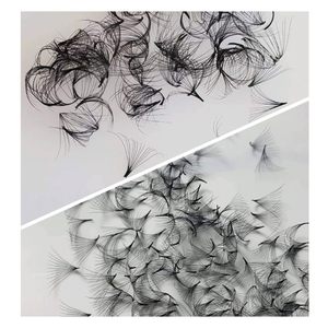 Extensiones de Pestañas Individuales Pre-fabricadas 12D Personalizadas Vietnam Easy Mix Gruesas 15mm Cachemira en Bandeja CC Nhu Y Eyelash NY12D - Product Image 3