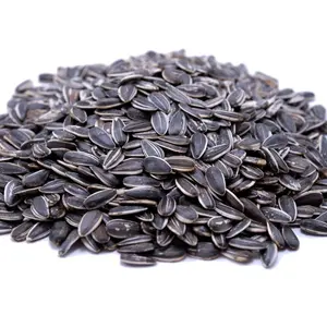 Wholesale Sunflower Seeds From UK / Sunflower Seeds Natural Black Sunflower Seeds kernel