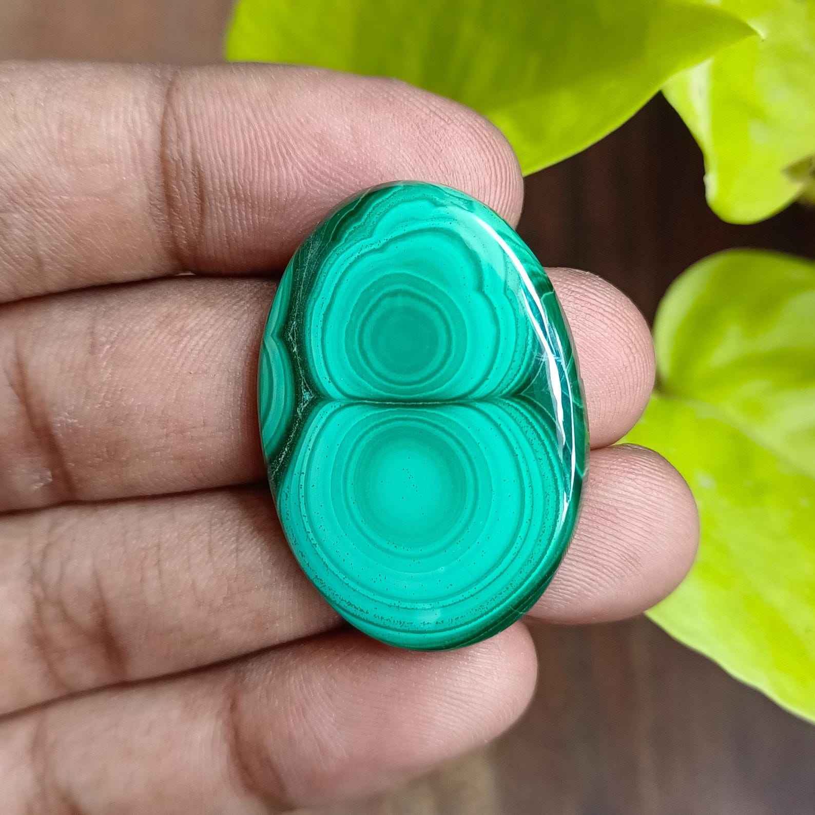 สีเขียว